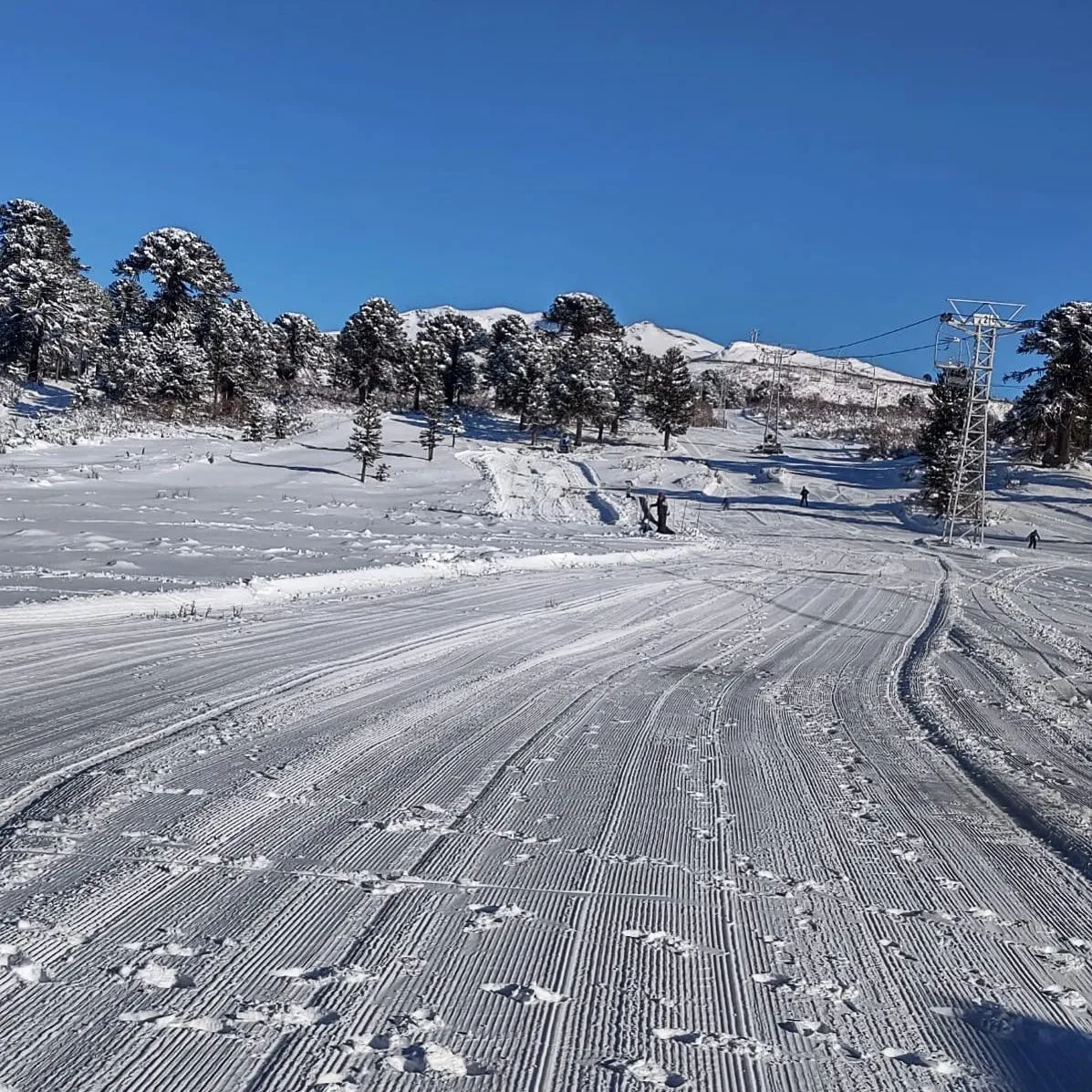 Paisaje de montaña 8