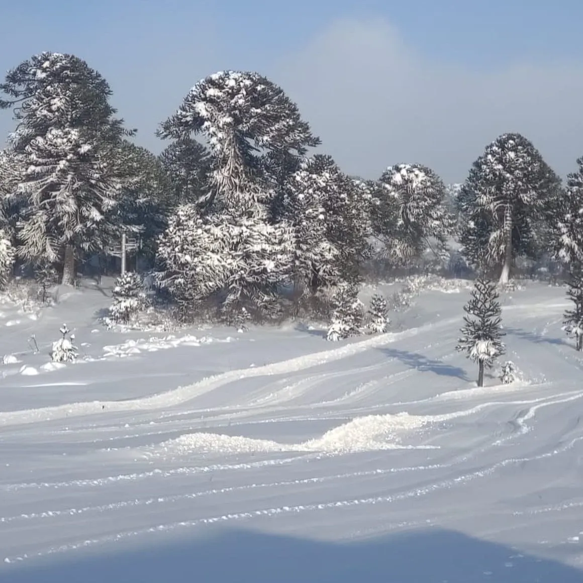 Paisaje de montaña 7