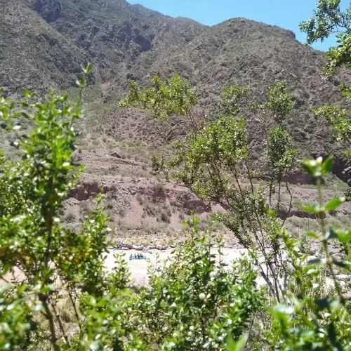 Paisaje de montaña 11