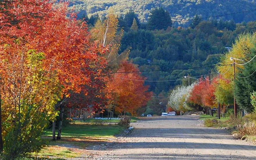 Paisaje de montaña 14