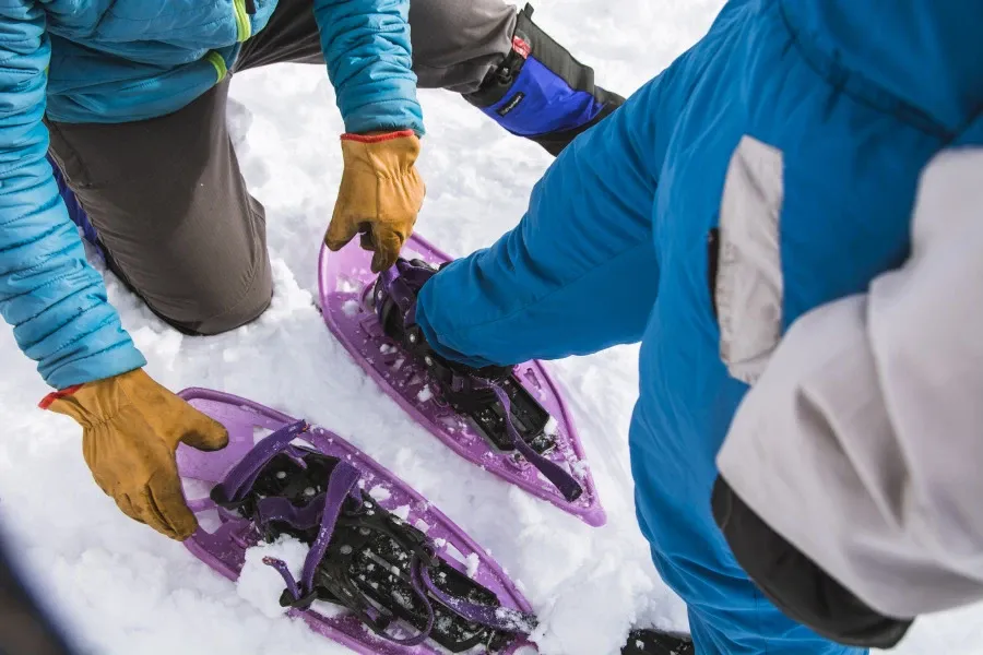 Paisaje de montaña 8