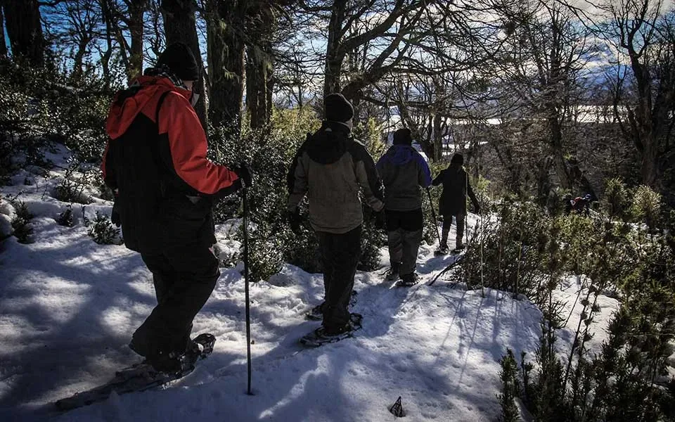 Paisaje de montaña 15