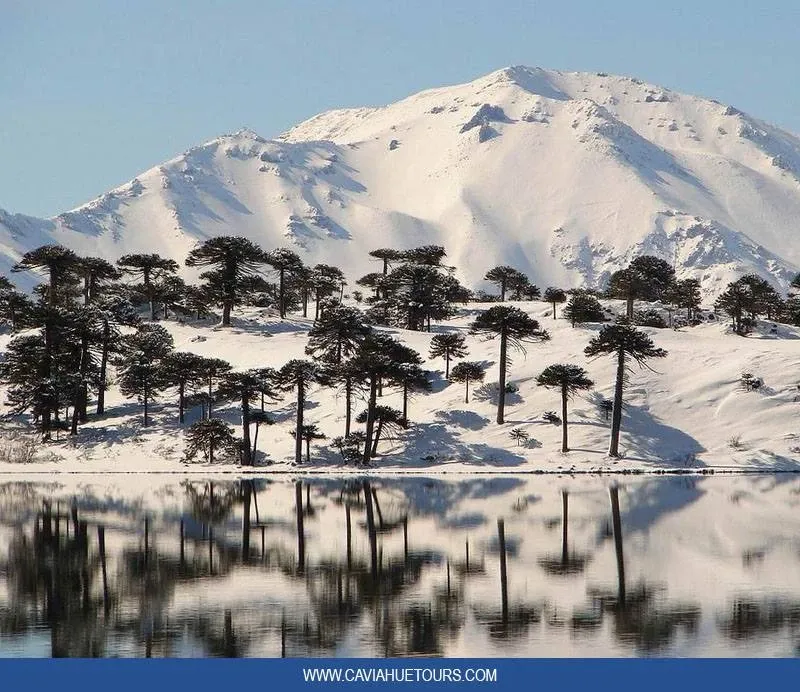 Paisaje de montaña 6