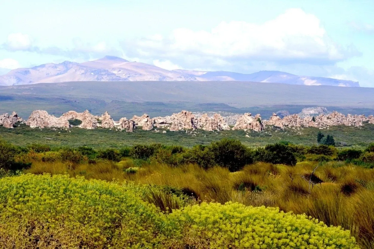 Paisaje de montaña 4