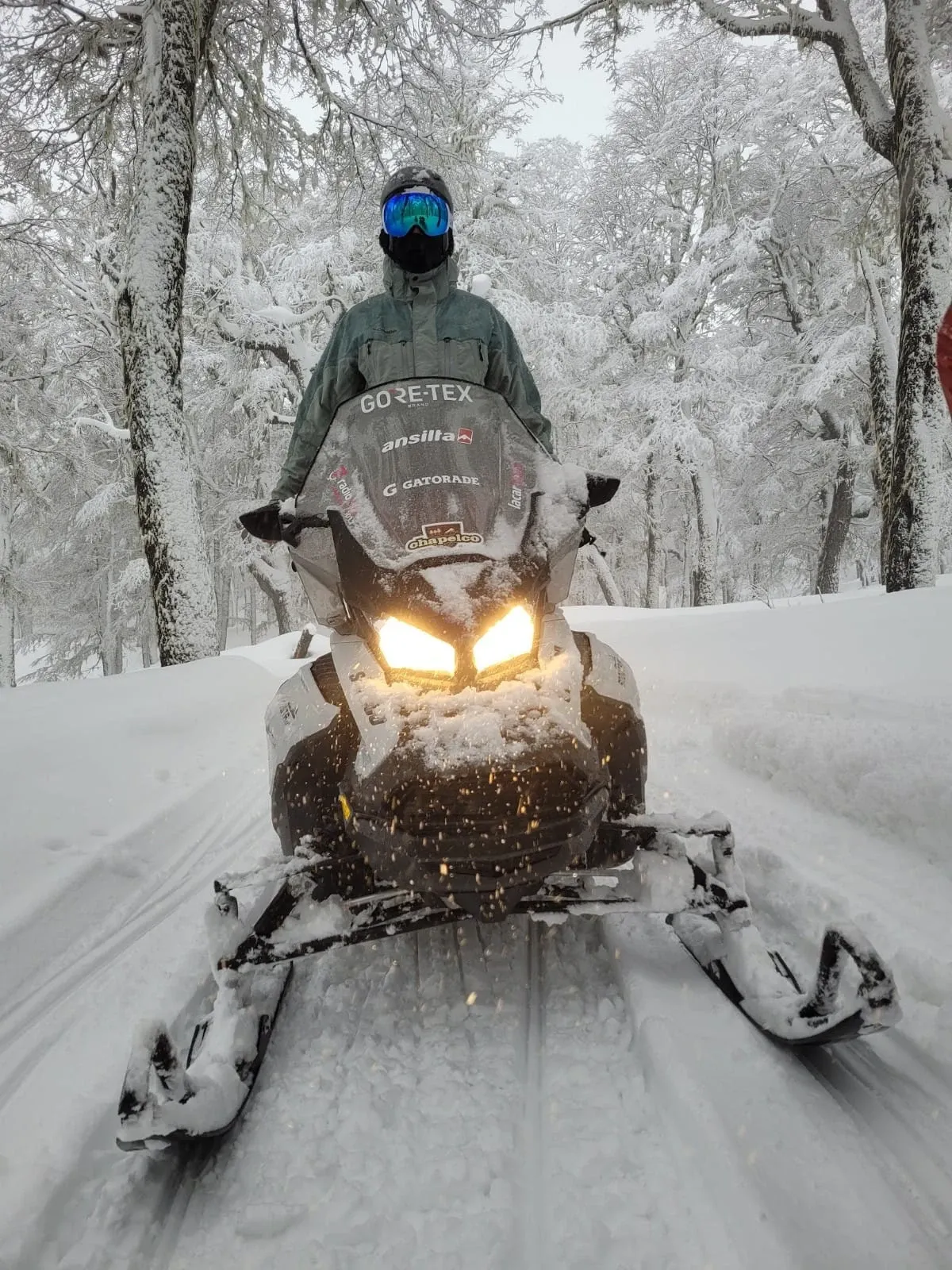 Paisaje de montaña 7