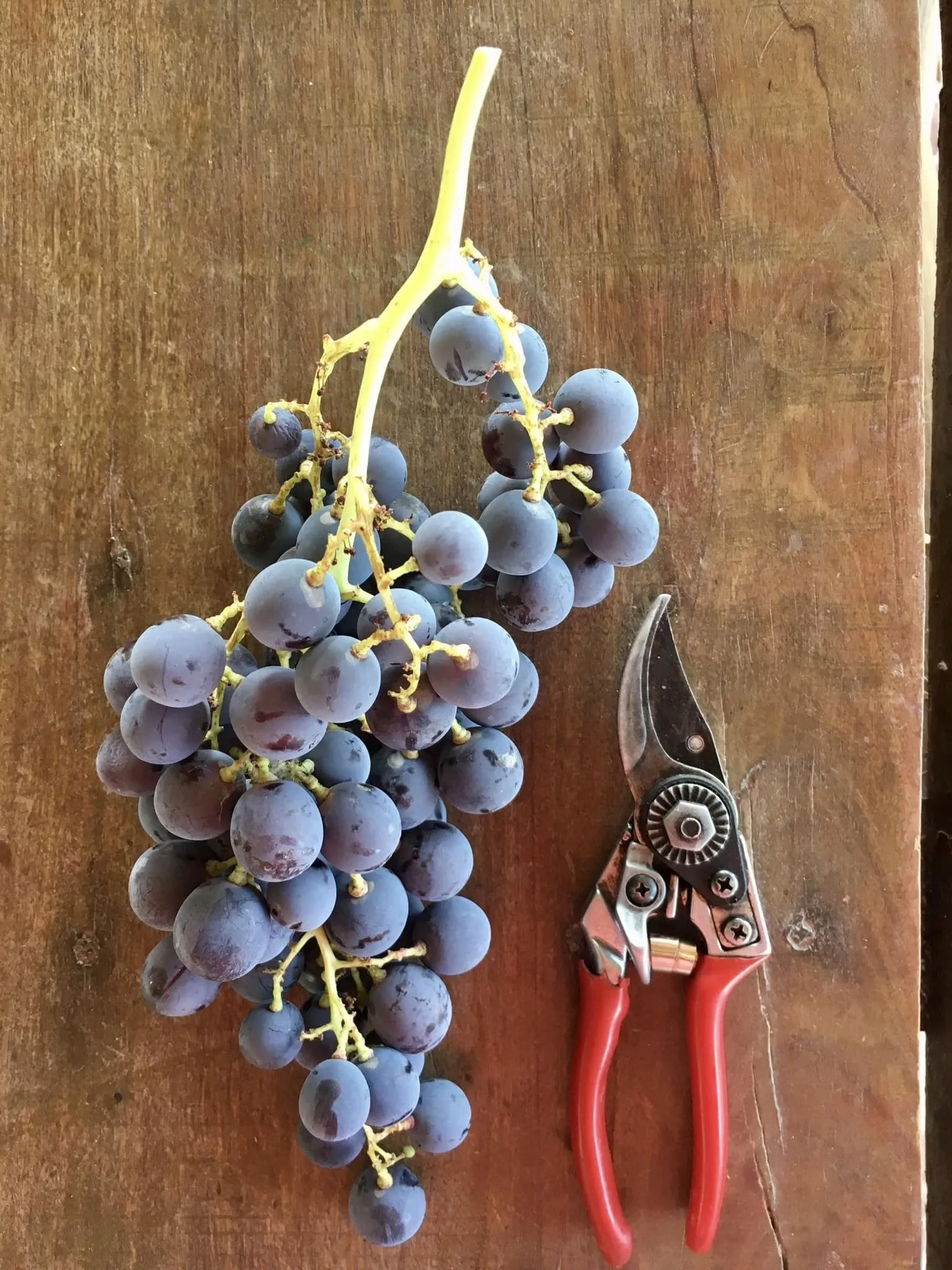 Paisaje de montaña 5