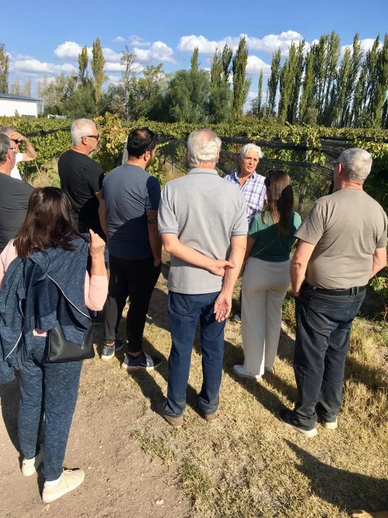 Paisaje de montaña 6