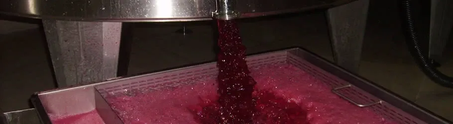 Paisaje de montaña 8