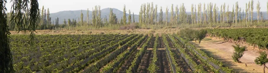 Paisaje de montaña 9