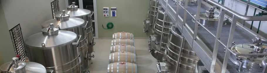 Paisaje de montaña 10