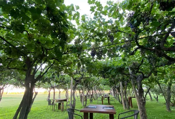 Paisaje de montaña 12