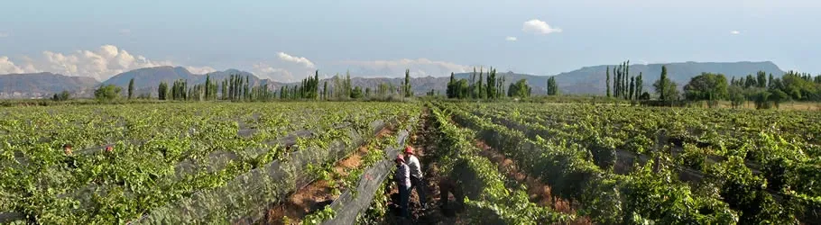 Paisaje de montaña 13