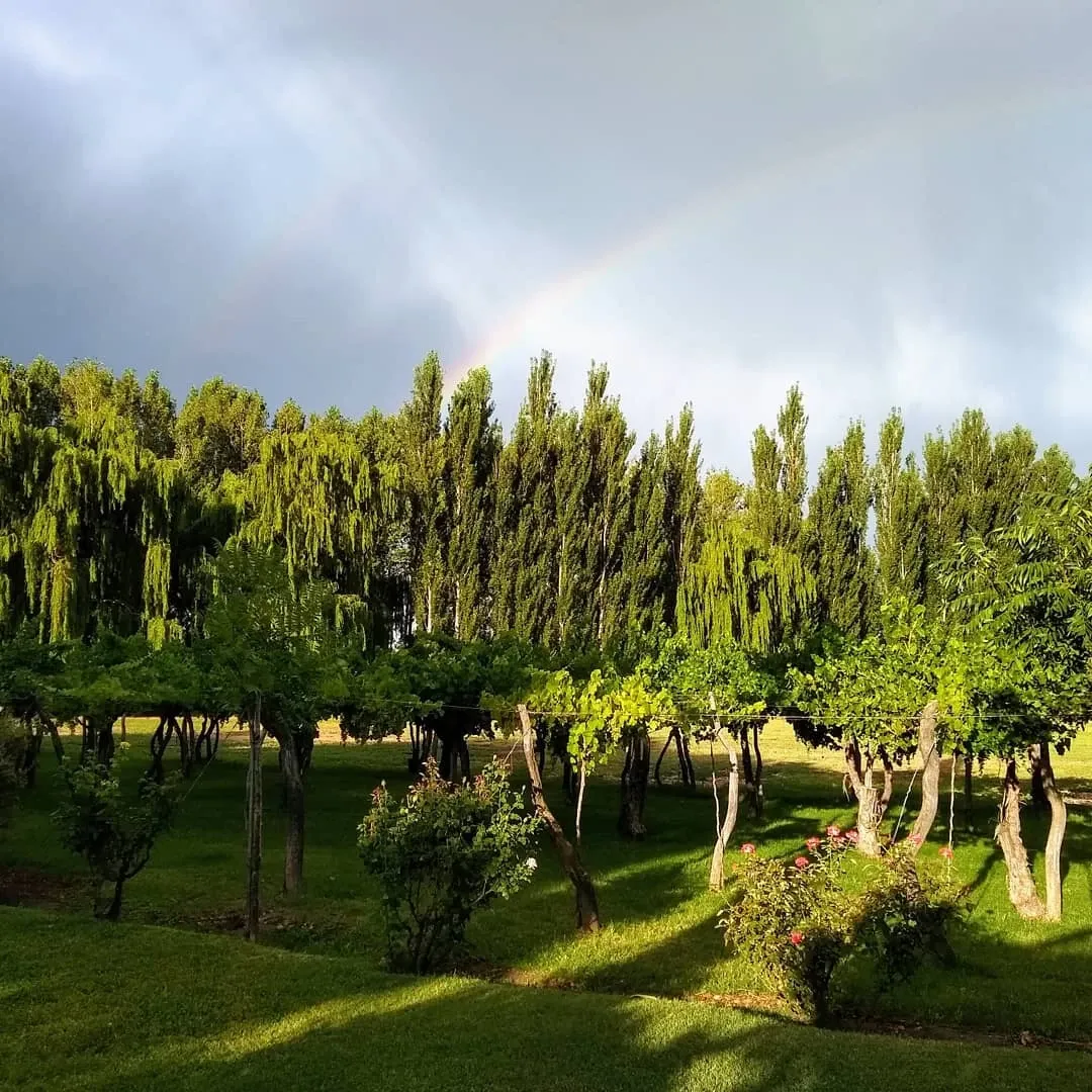 Paisaje de montaña 15