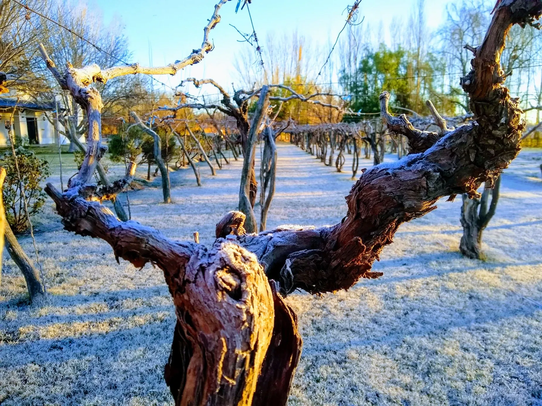 Paisaje de montaña 17