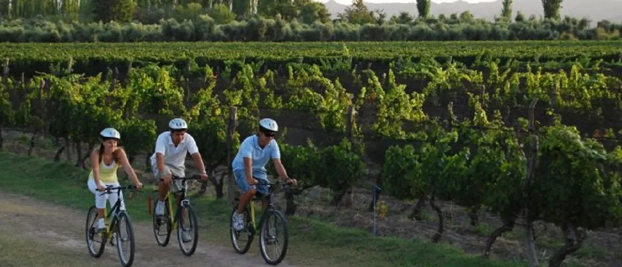 Paisaje de montaña 6