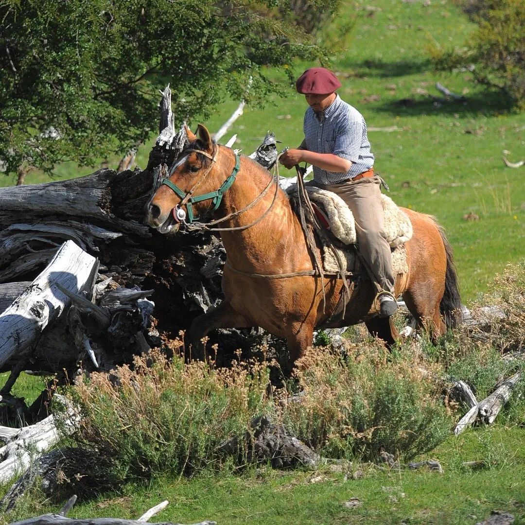 Paisaje de montaña 15