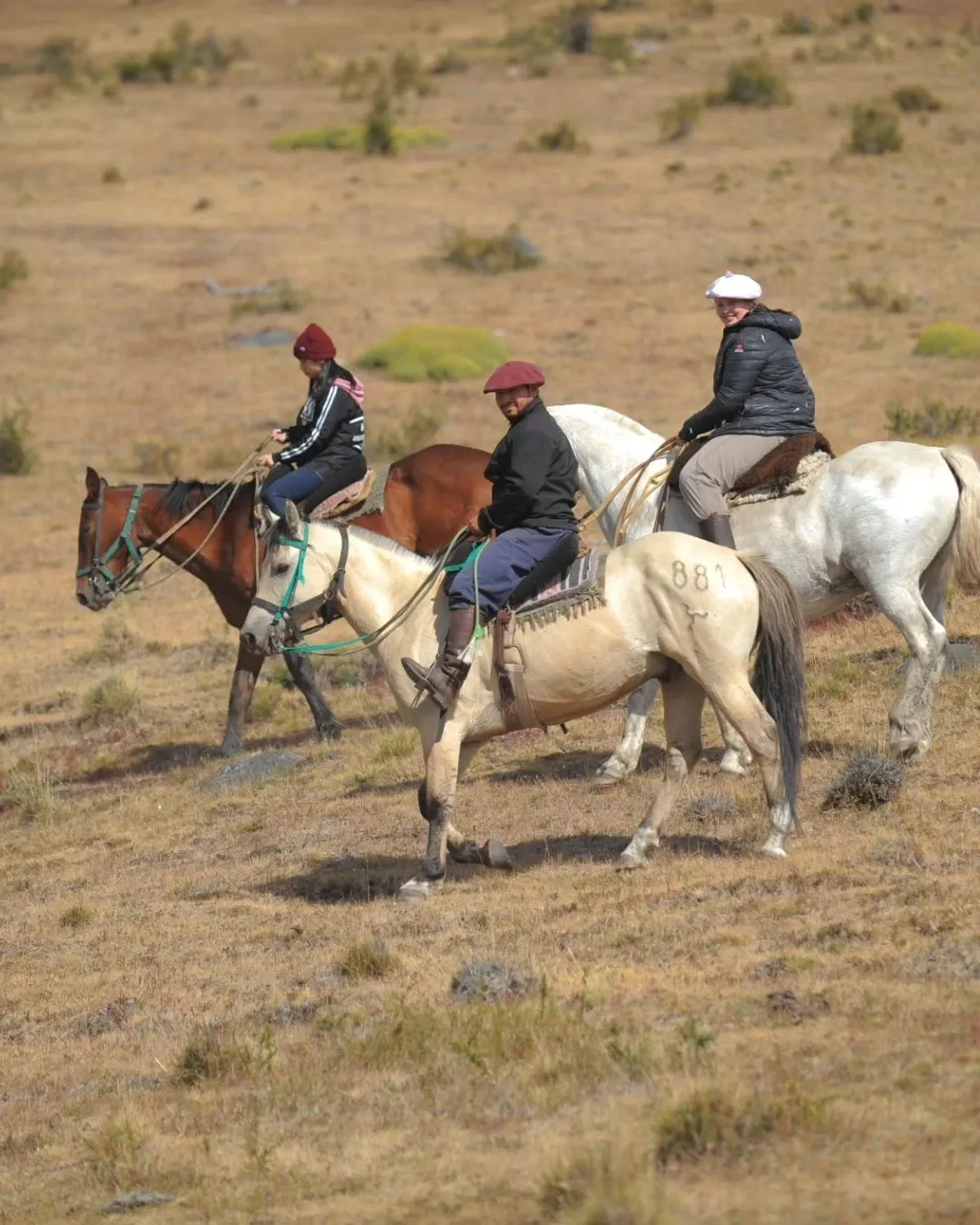 Paisaje de montaña 16