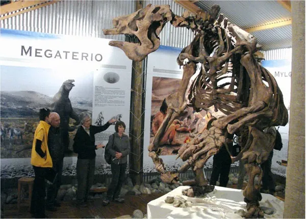 Paisaje de montaña 9