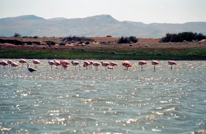 Paisaje de montaña 13