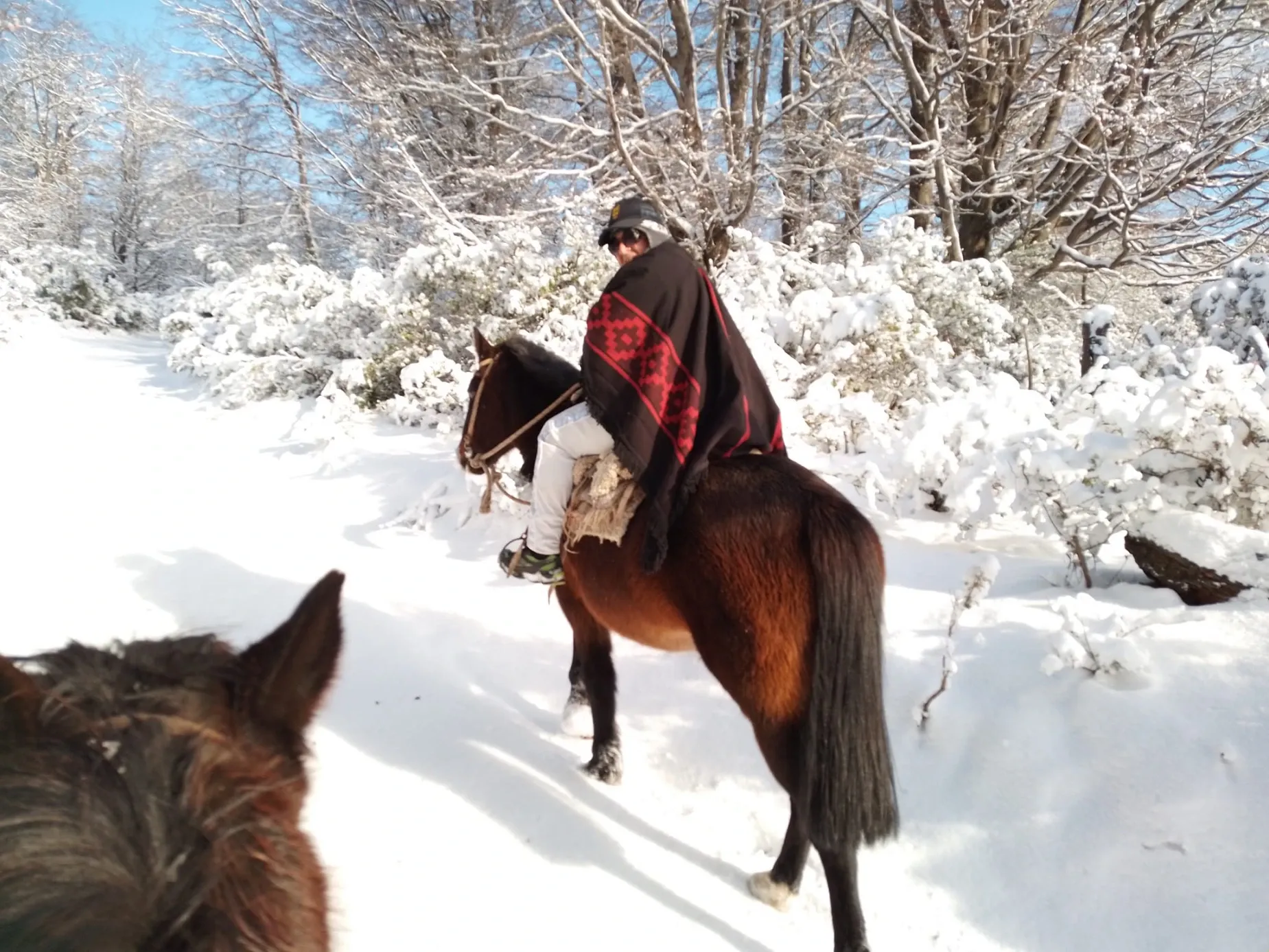 Paisaje de montaña 5