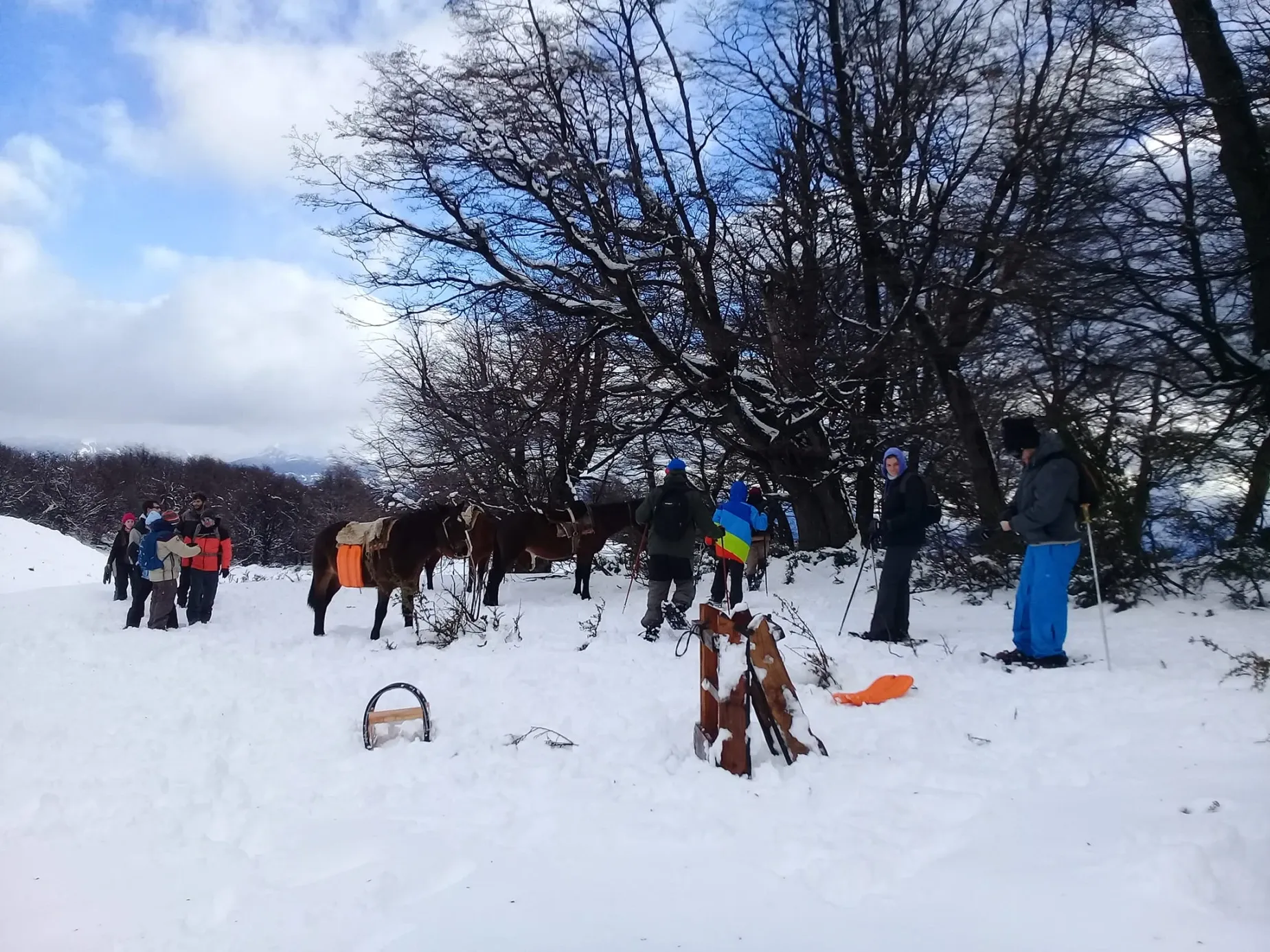 Paisaje de montaña 6