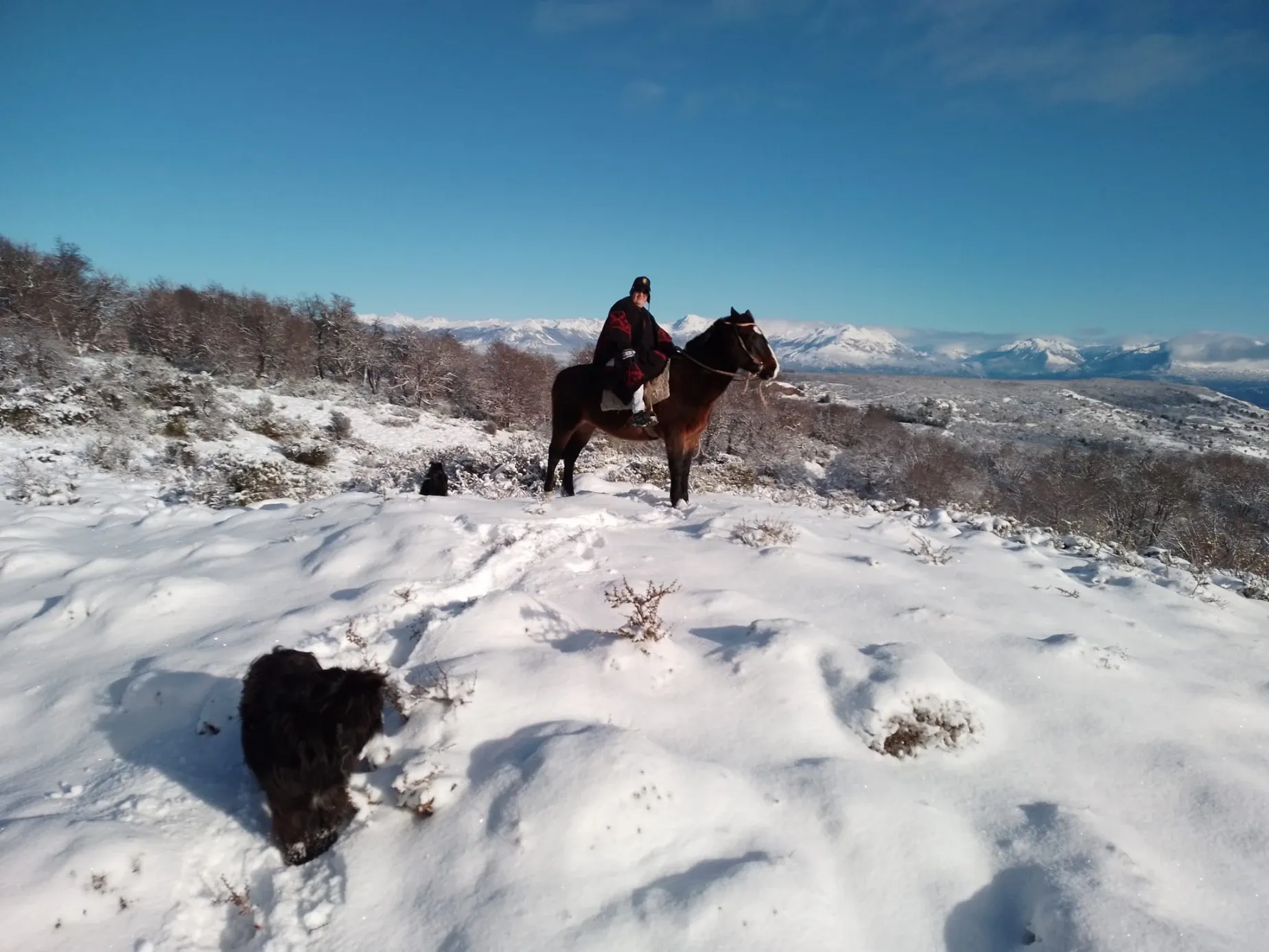 Paisaje de montaña 7