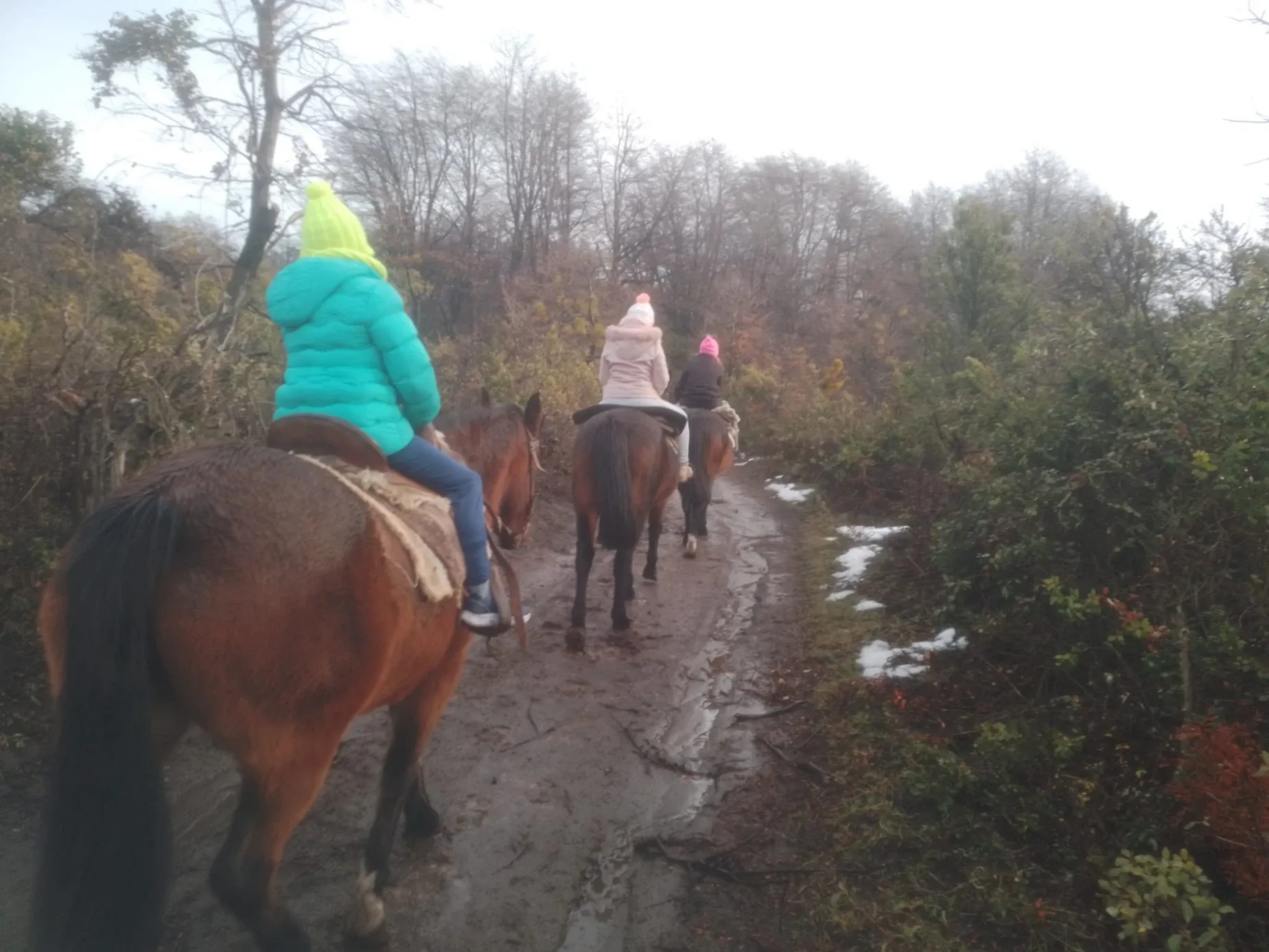 Paisaje de montaña 8