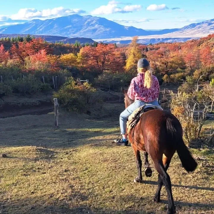 Paisaje de montaña 9