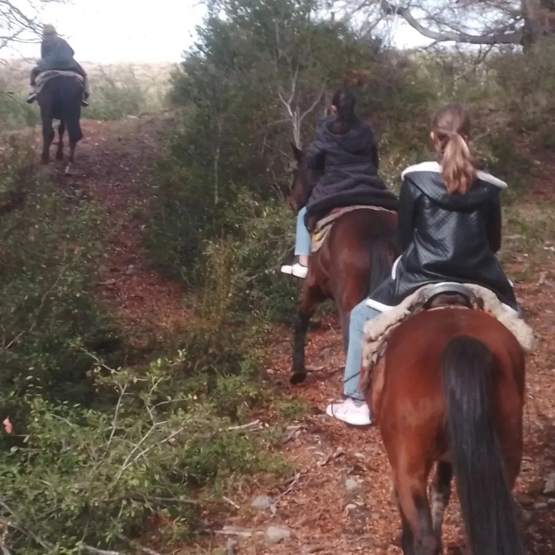 Paisaje de montaña 10