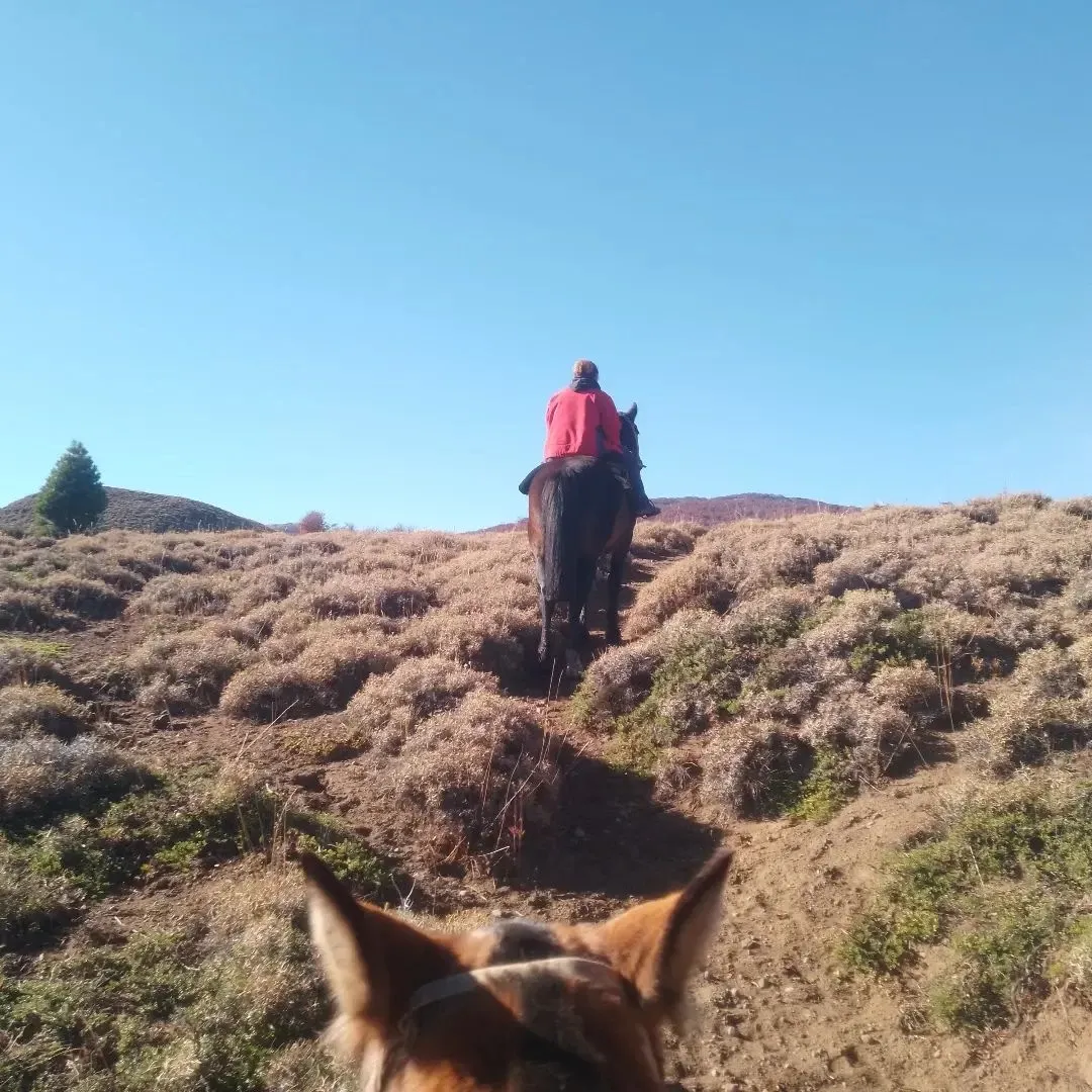 Paisaje de montaña 11