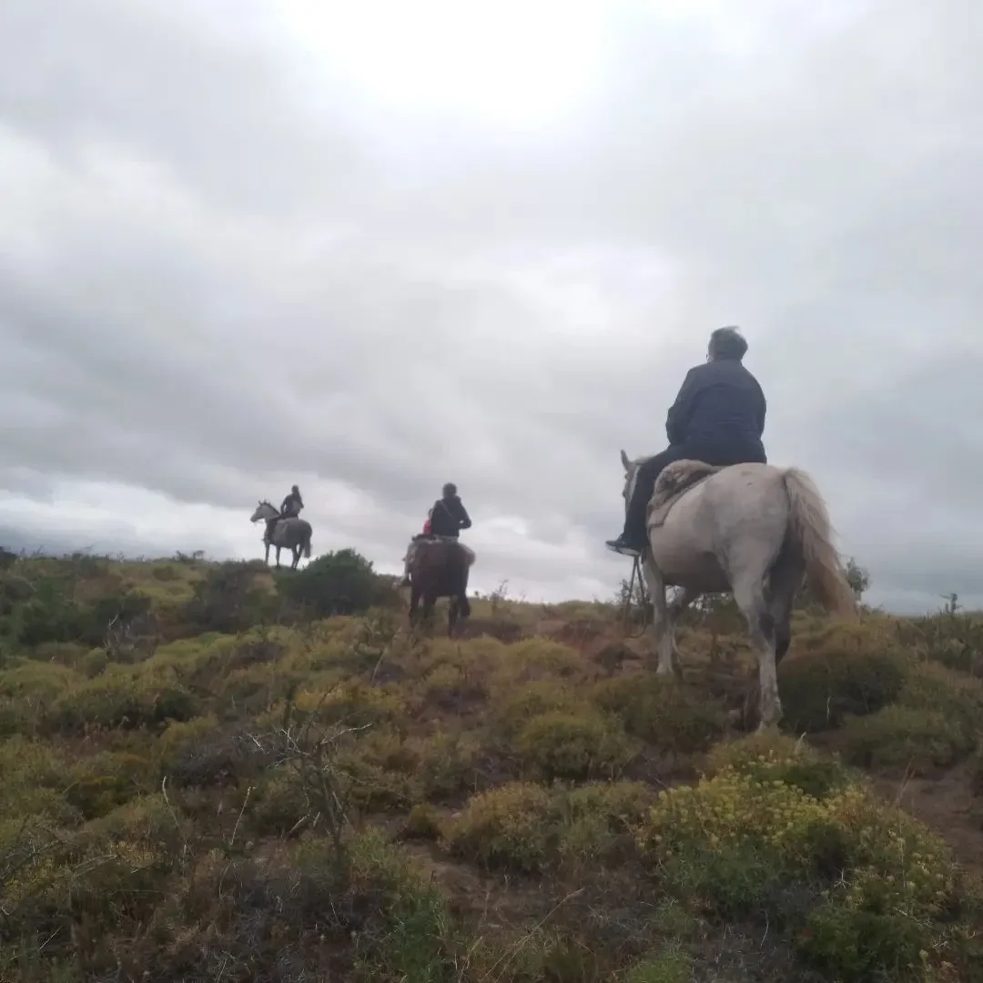 Paisaje de montaña 15