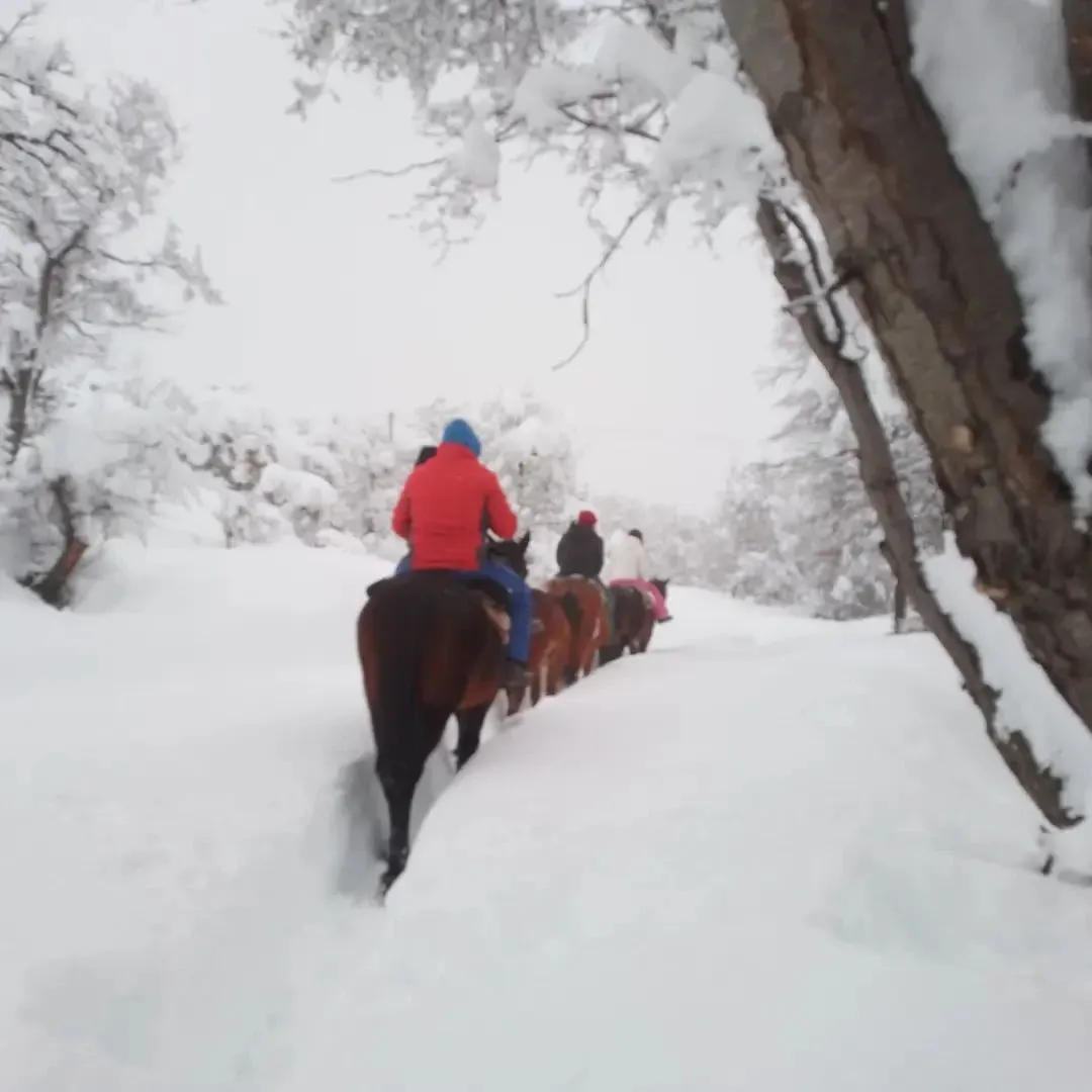 Paisaje de montaña 16