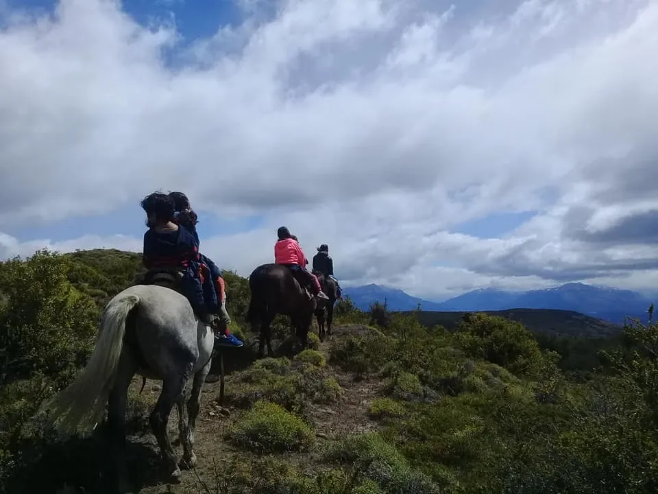 Paisaje de montaña 1