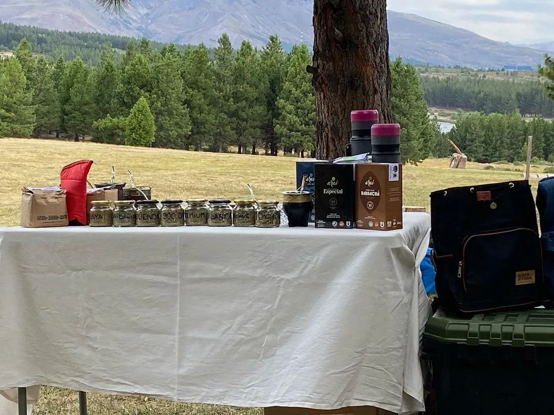 Paisaje de montaña 9