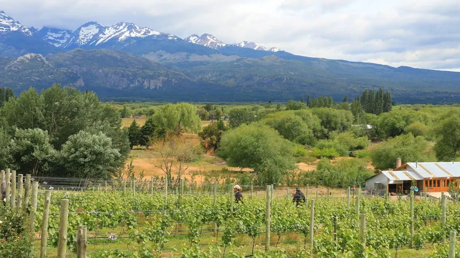 Paisaje de montaña 6