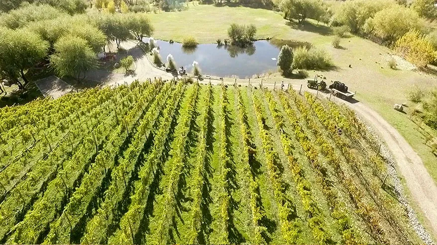 Paisaje de montaña 1