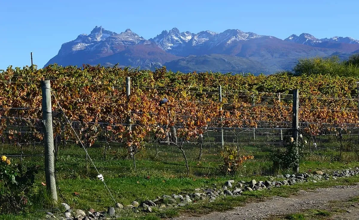 Paisaje de montaña 3