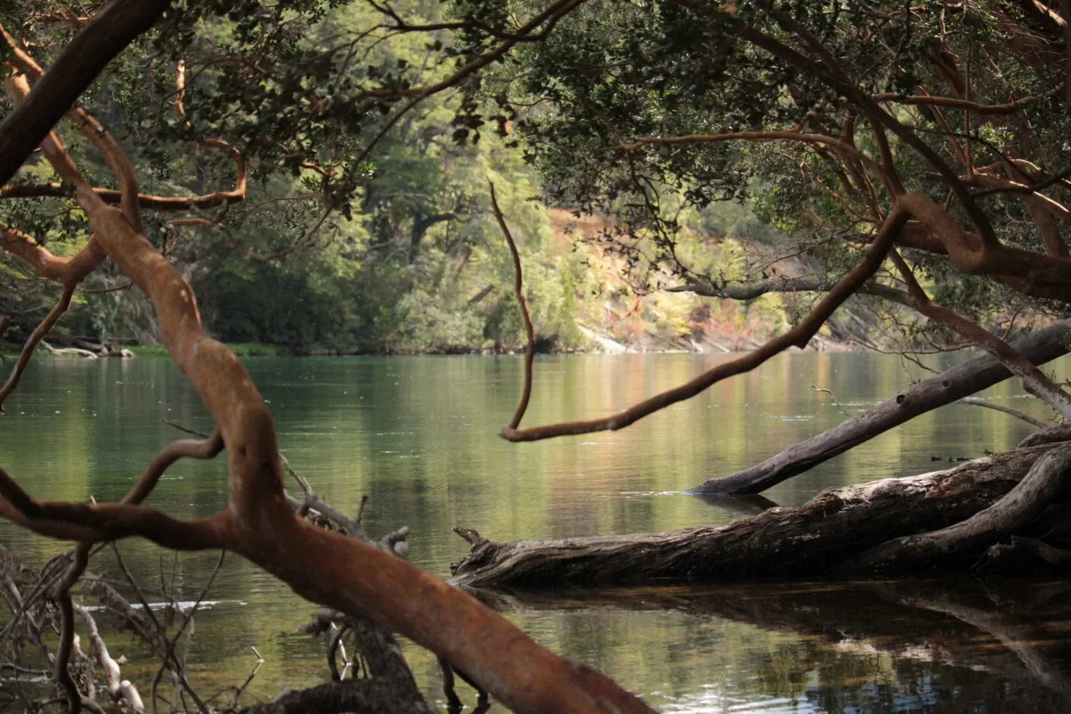 Paisaje de montaña 7