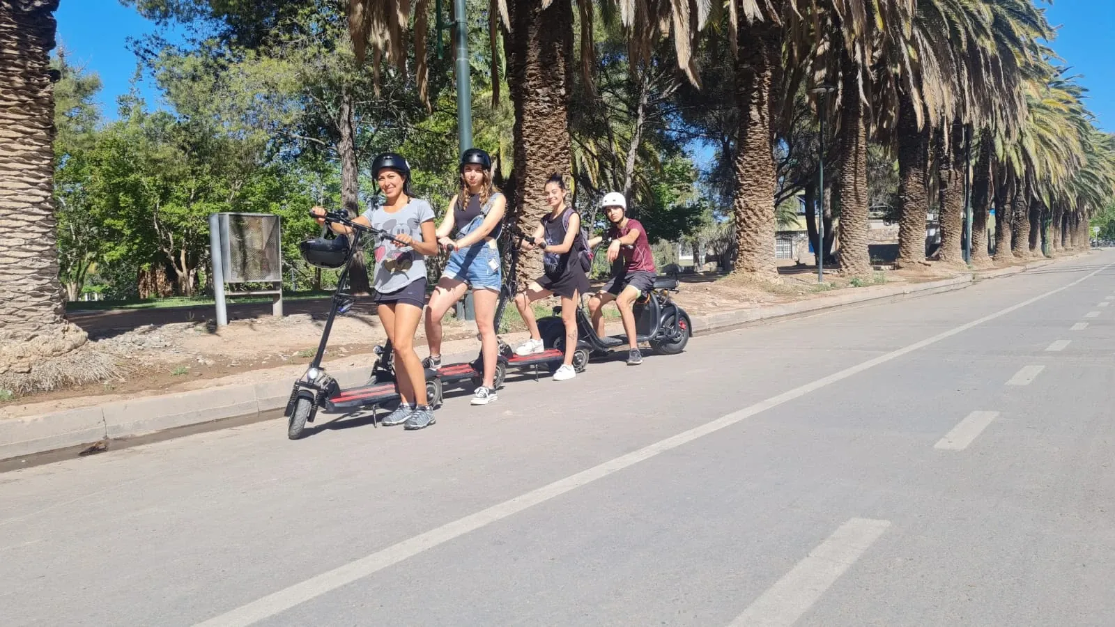 Paisaje de montaña 1