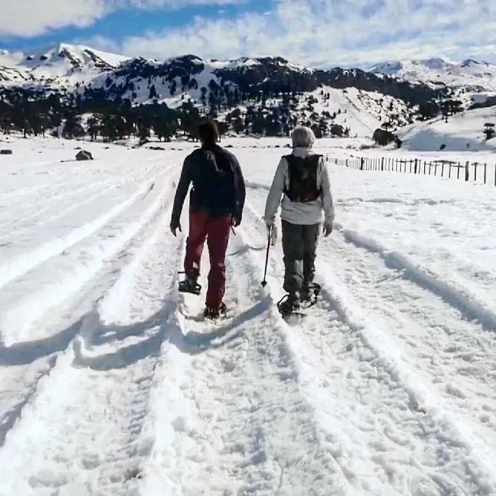 Paisaje de montaña 8