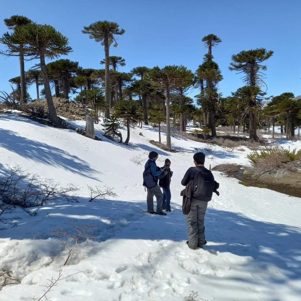 Paisaje de montaña 10