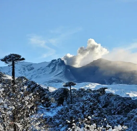 Paisaje de montaña 5