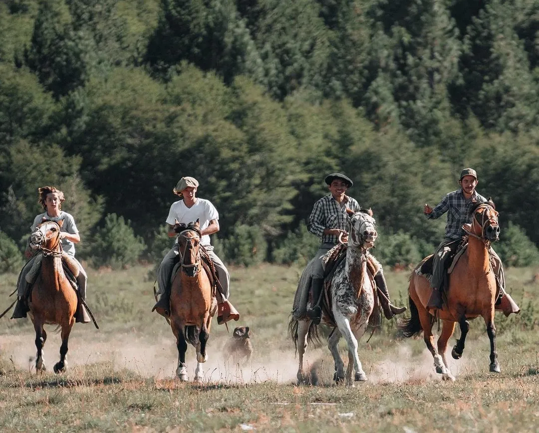 Paisaje de montaña 5