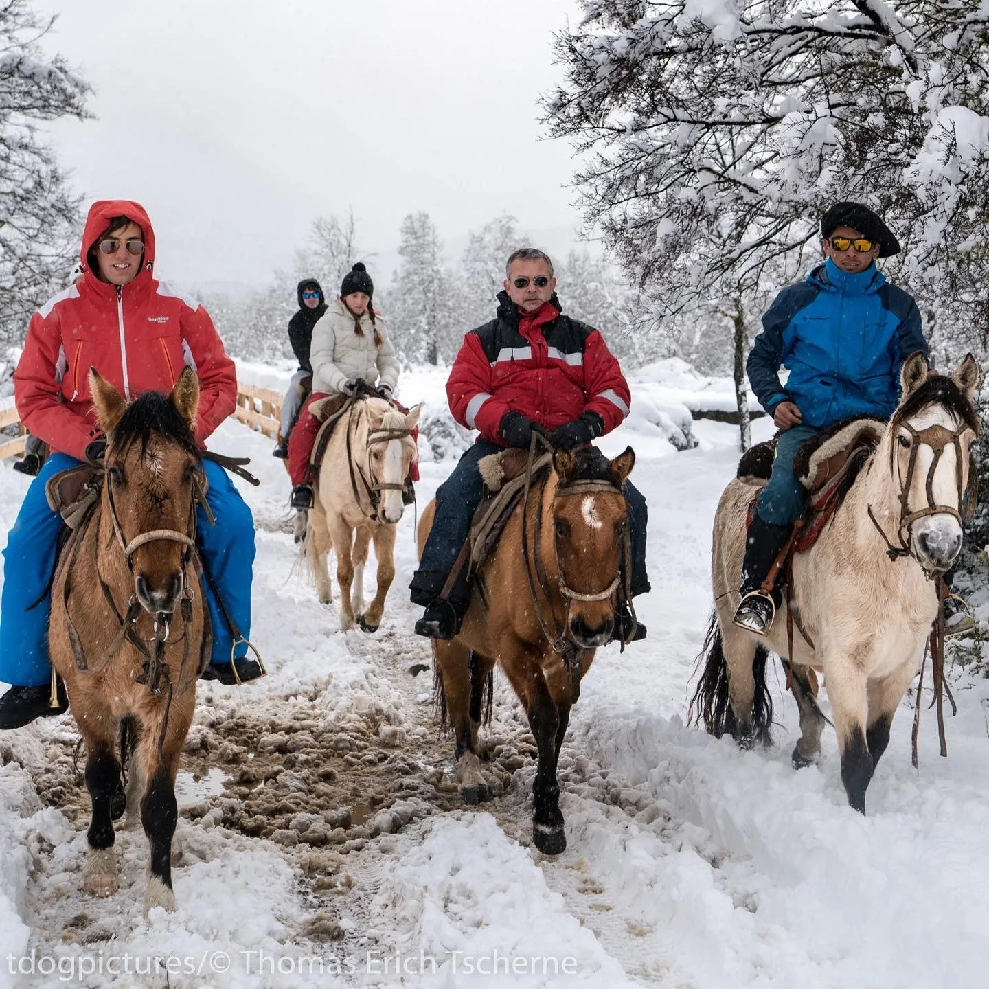 Paisaje de montaña 7