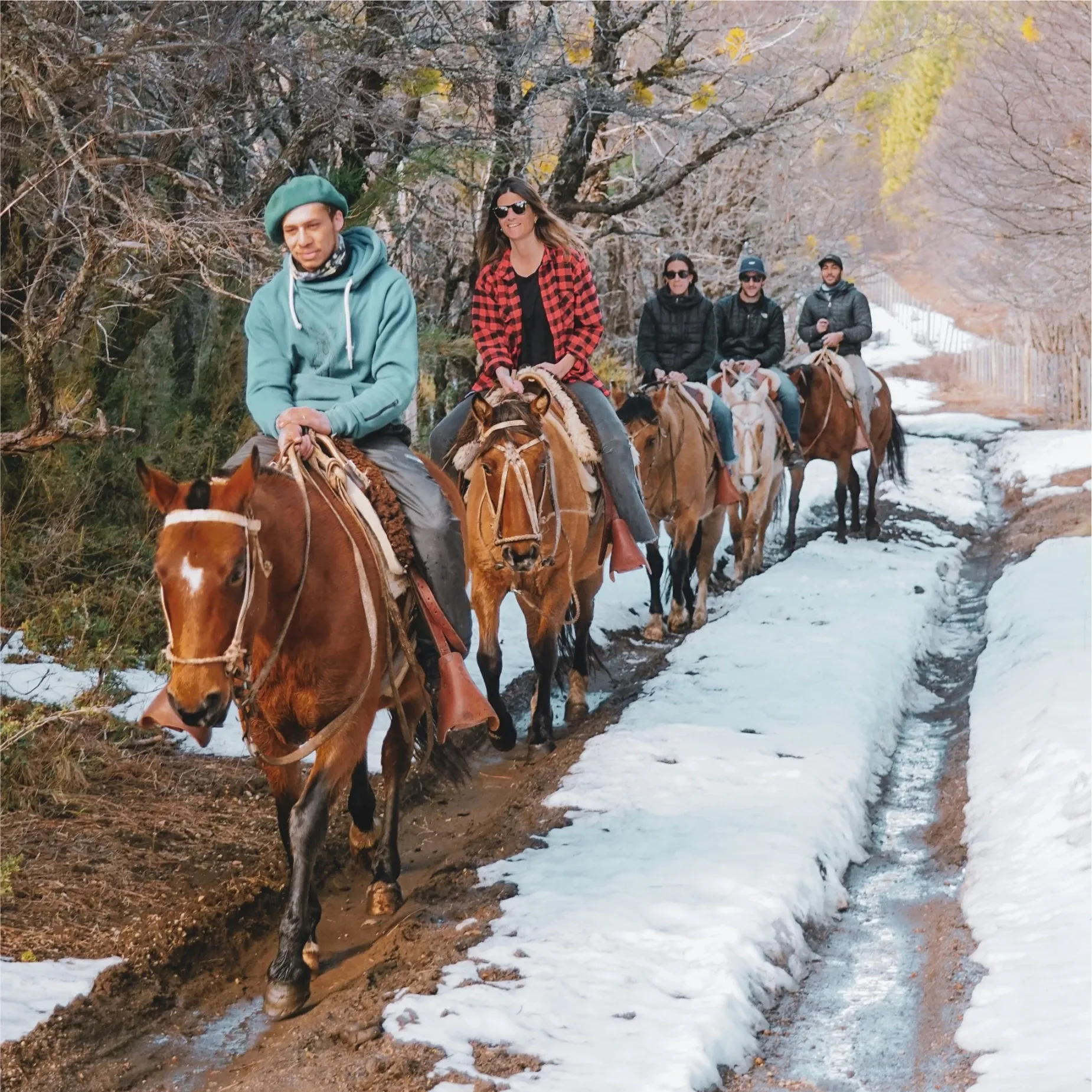 Paisaje de montaña 12