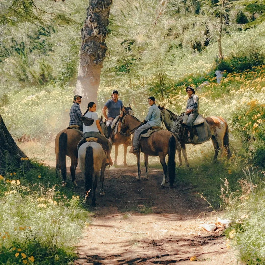 Paisaje de montaña 14