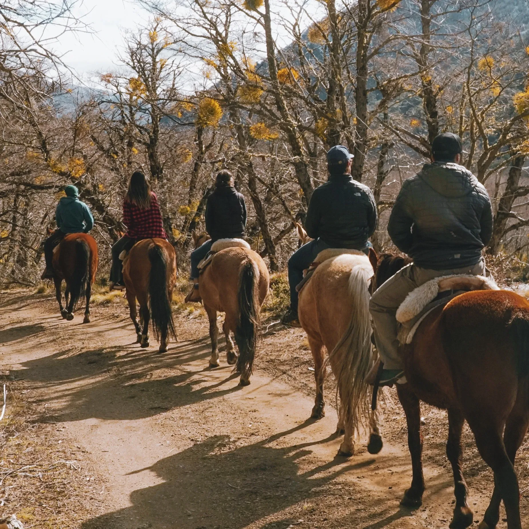 Paisaje de montaña 15