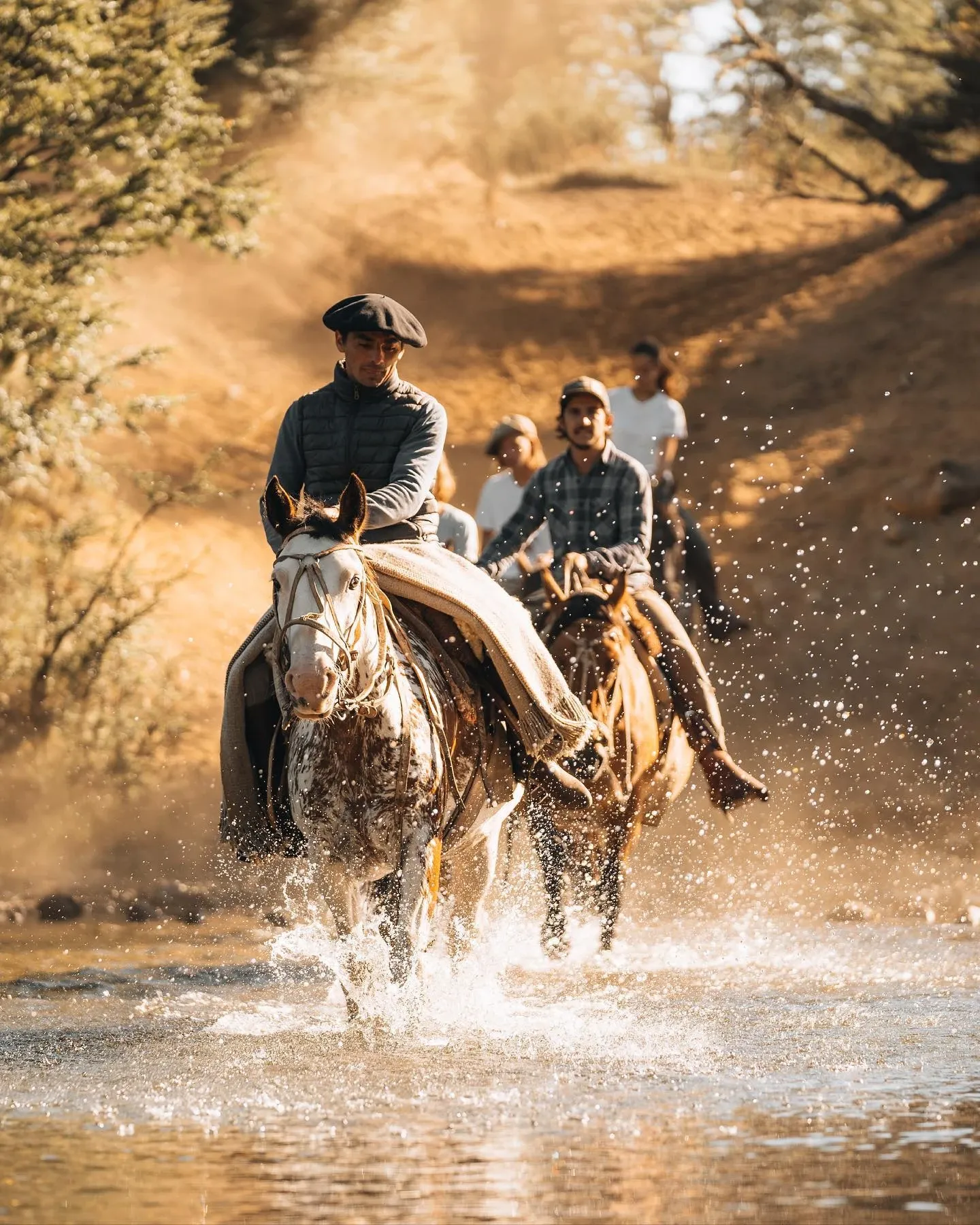 Paisaje de montaña 18