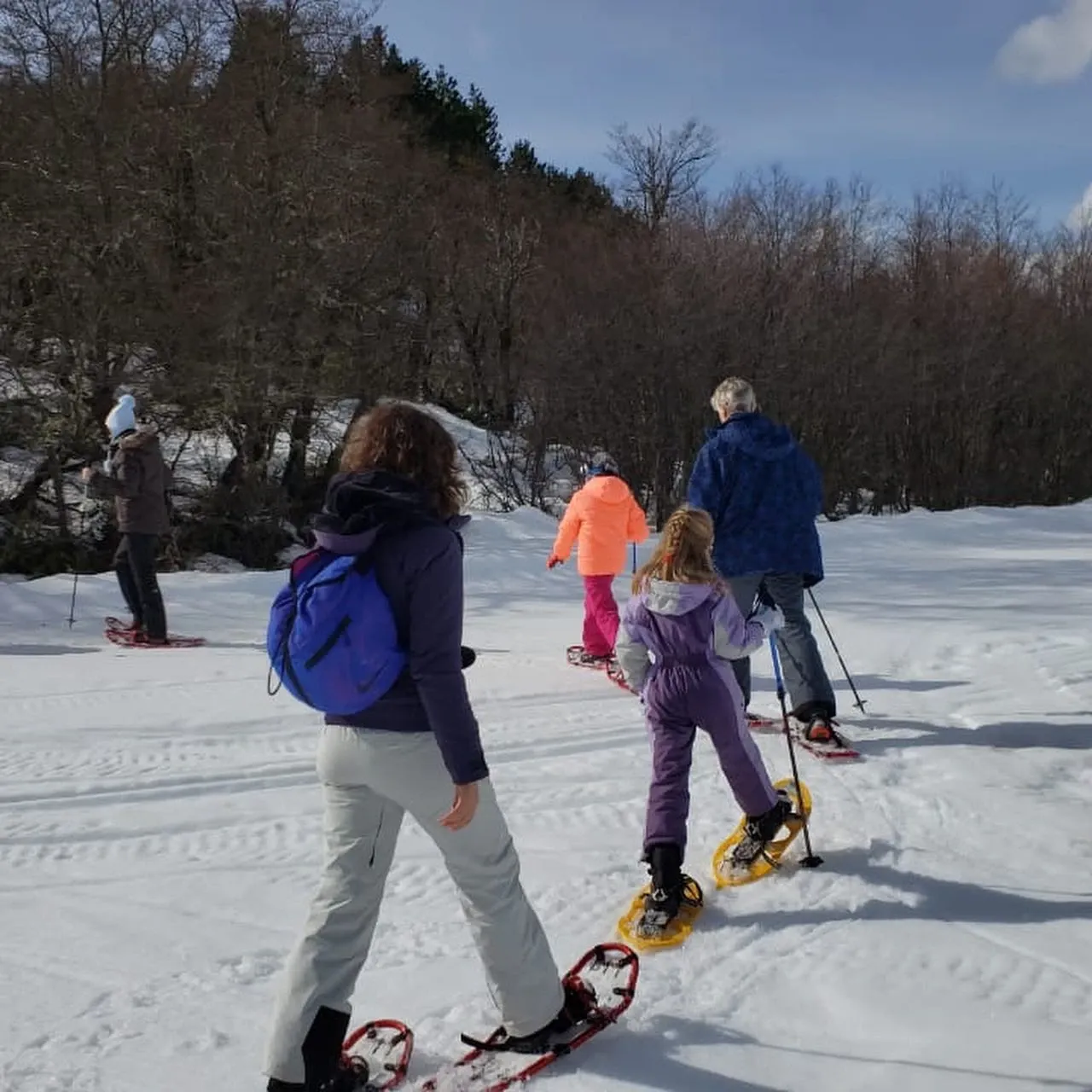 Paisaje de montaña 5