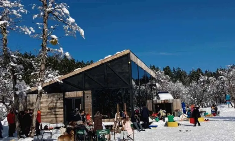 Paisaje de montaña 11